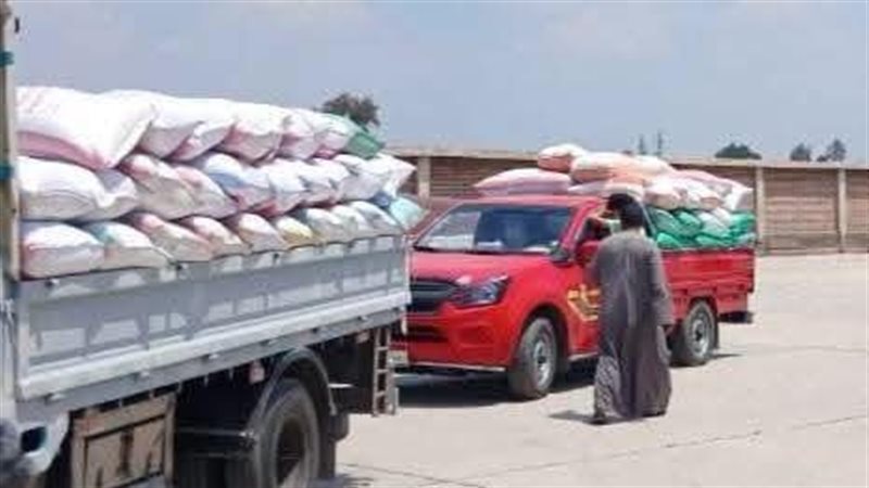 القمح، فيتو 