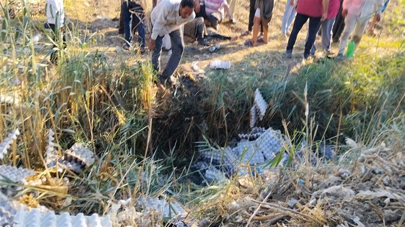 موقع الحادث، فيتو