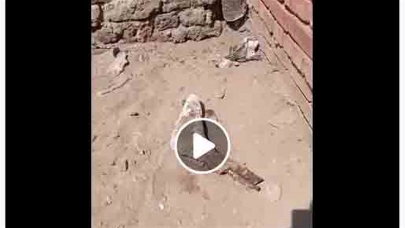 كشف لغز العثور على