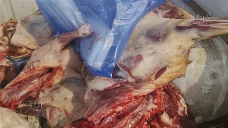 حملة تفتيشية بمطروح