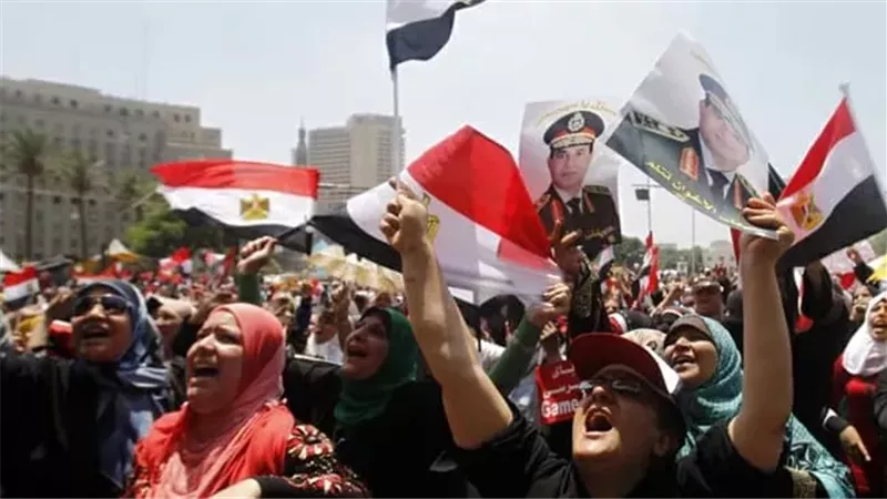 ثورة 30 يونيو، فيتو