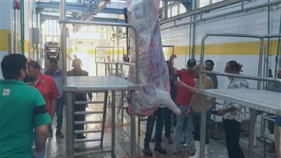 وزيرة التنمية المحلية تعلن التشغيل التجريبي لمجزر قلمشاة بالفيوم