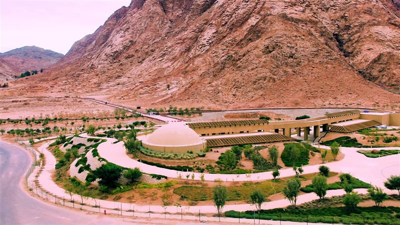 مشروعات الجهاز المركزي