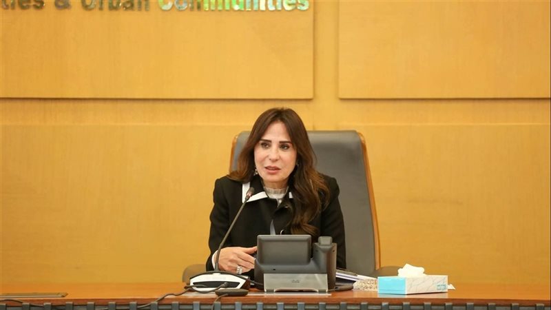 المهندسة راندة المنشاوي،فيتو