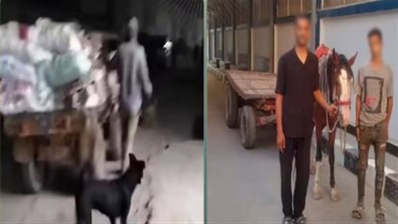  ضبط المتهمين 