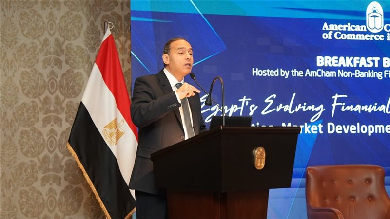 رئيس الرقابة المالية