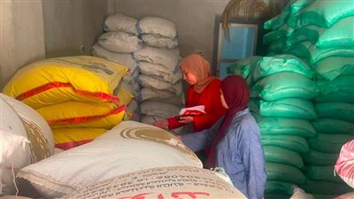 تموين الدقهلية تحرر 195 محضرا خلال حملات استمرت 3 أيام
