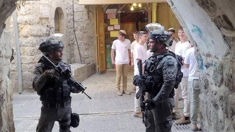 قوات الاحتلال 