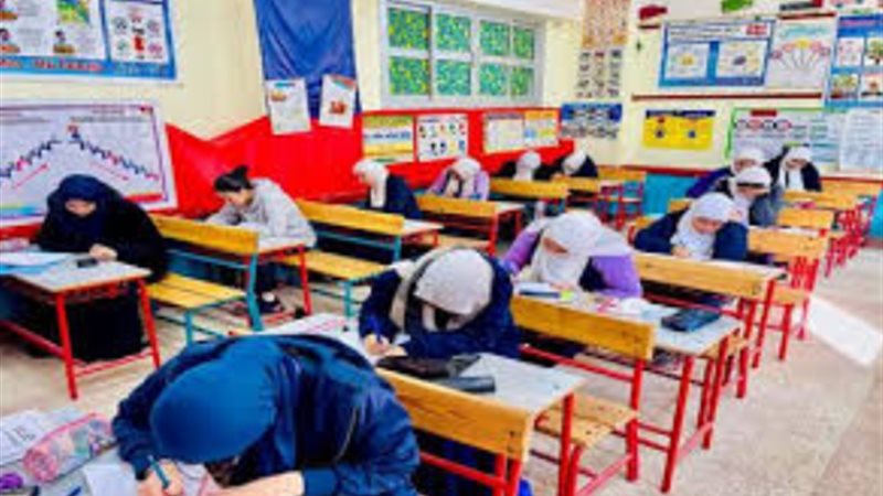طلاب، فيتو 
