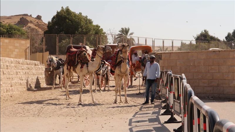 الاهرامات