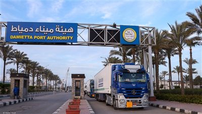 السفينة اليونانية MARAN GAS AMORGOS ترسو في دمياط لتفريغ 71 ألف طن غاز مسال