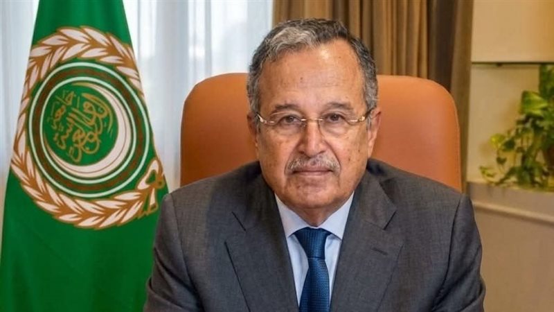 السفير نبيل فهمى