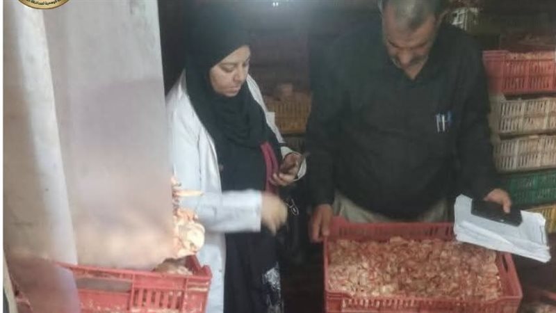 حملة بيطرى الشرقية