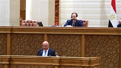  رئيس برلمانية من أجل المتوسط: القضية الفلسطينية الاختبار الحقيقي لمصداقية النظام الدولي