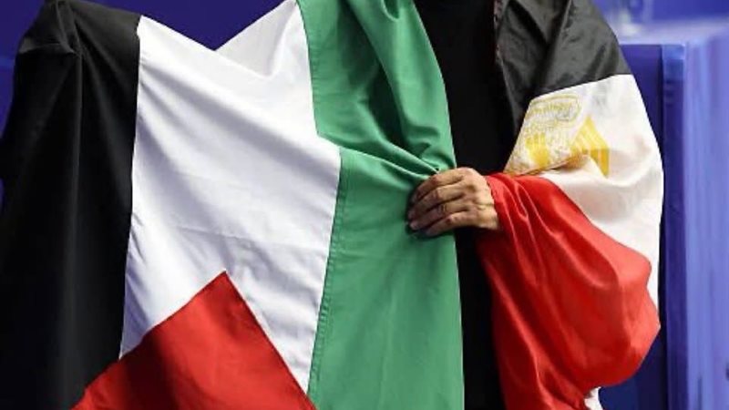 حسام حسن، فيتو