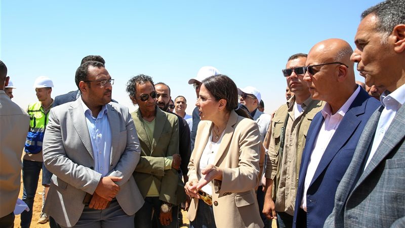 راندة المنشاوي 