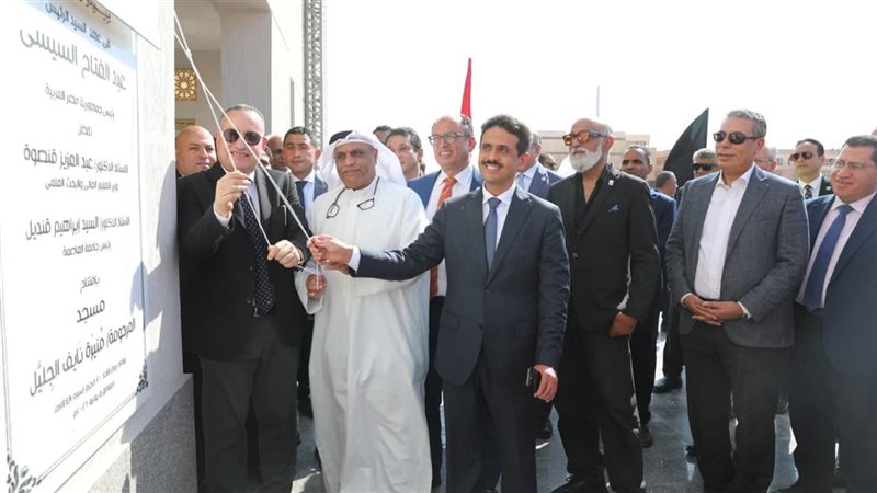 التعليم العالي 