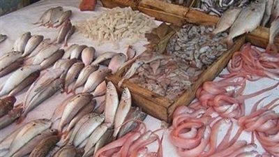أسعار السمك اليوم، انخفاض كبير في 3 أصناف وارتفاع المكرونة السويسي 20 جنيها