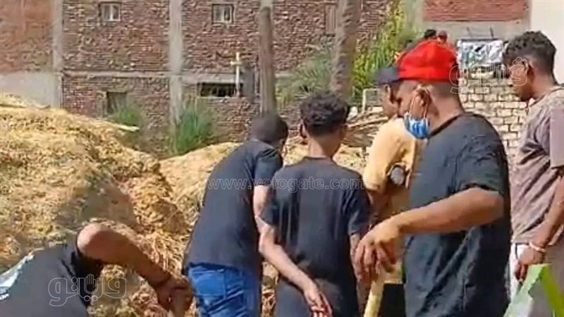 لدغات الثعابين تصيب