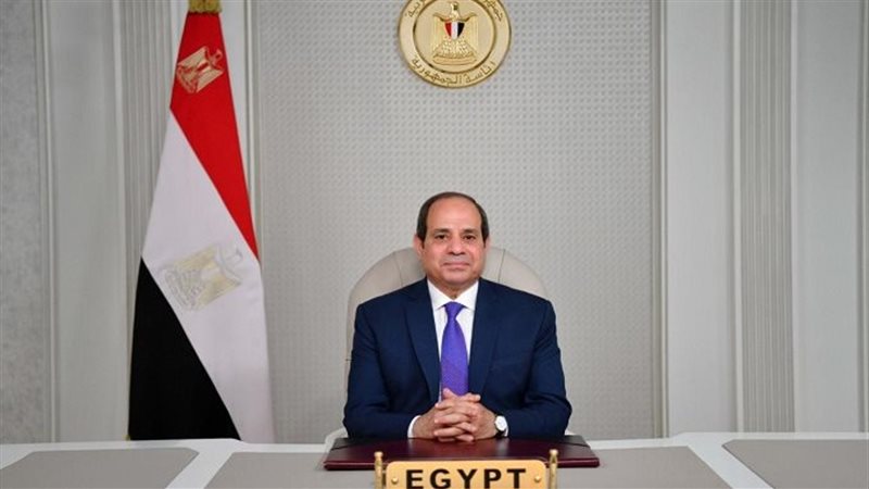 الرئيس السيسي، فيتو