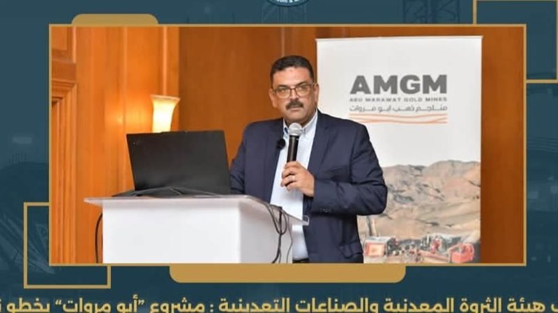 رئيس هيئة الثروة
