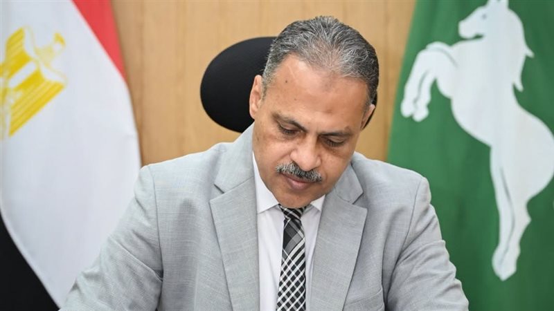  محافظ الشرقية