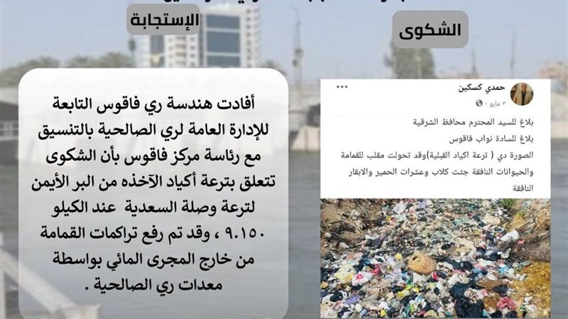  محافظ الشرقية