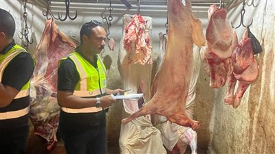  سلامة الغذاء تضبط 1.26 طن لحوم غير صالحة بالدقهلية 