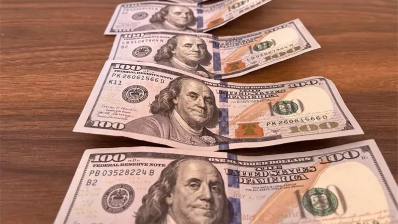 لماذا تم تثبيت أسعار الفائدة؟ خبير اقتصادي يكشف سر قرار المركزي اليوم