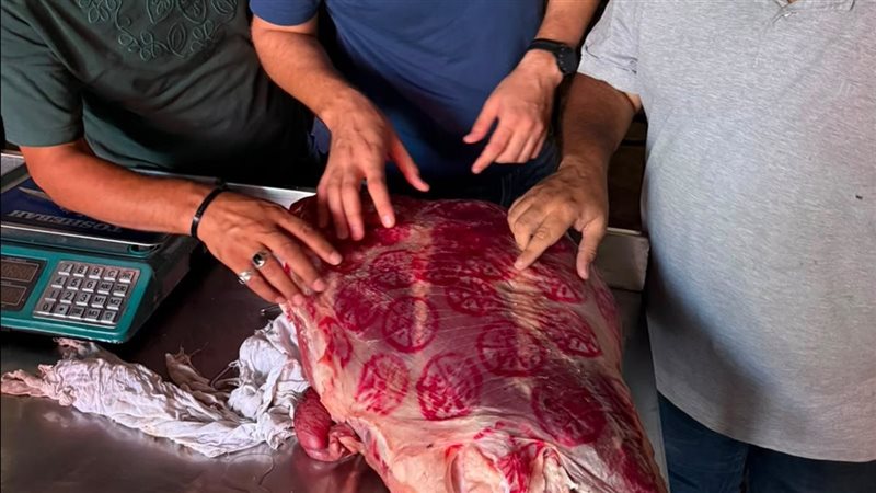 ضبط لحوم ودواجن فاسدة