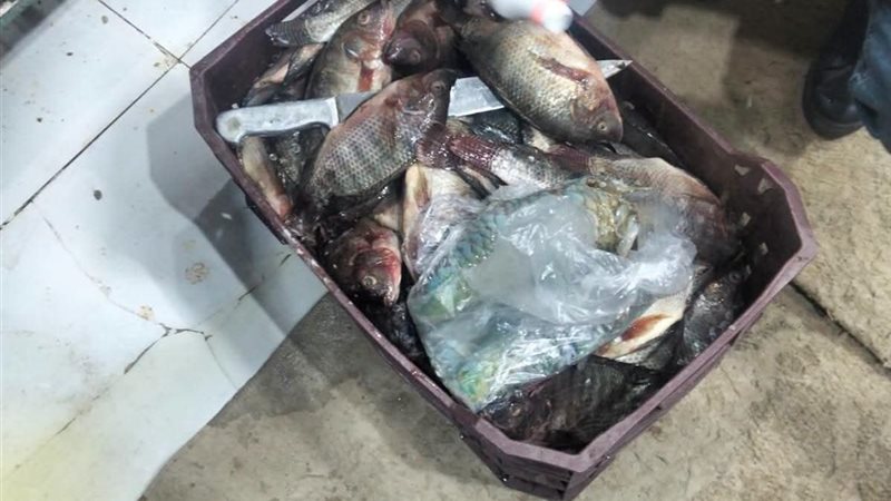 إعدام المضبوطات،