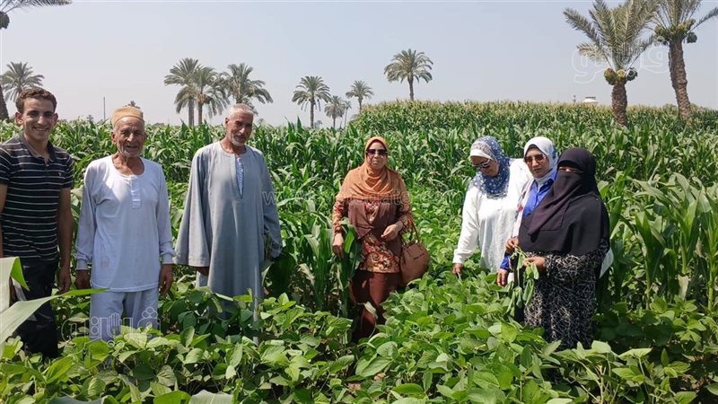 ندوة حقلية لزيادة