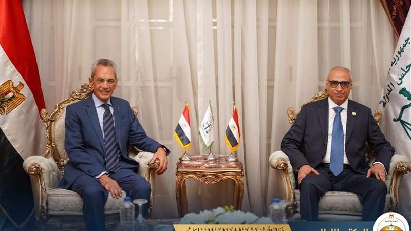 لقاء رئيس مجلس الدولة