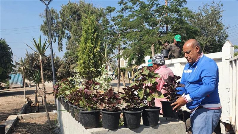 إنشاء حديقة مفتوحة