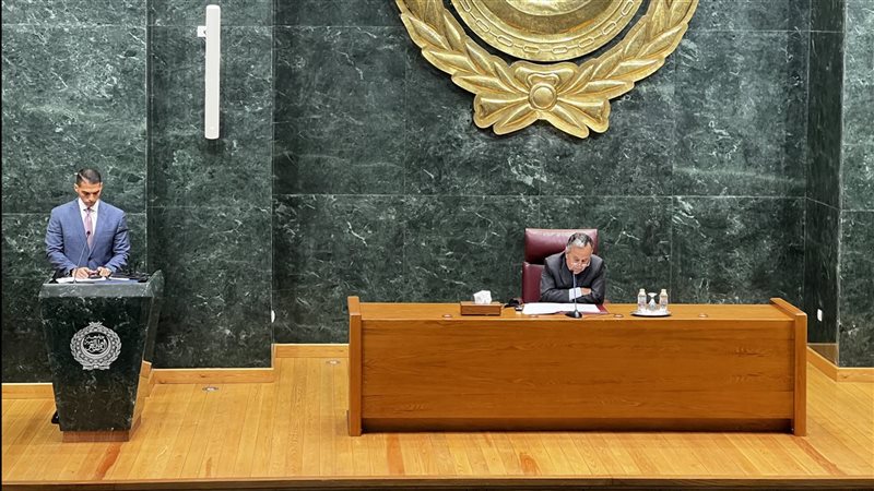 نبيل فهى الأمين العام