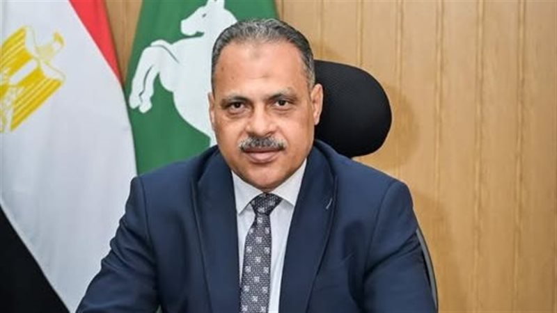 محافظ الشرقية
