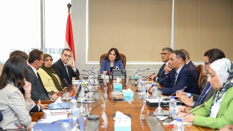 راندة المنشاوي