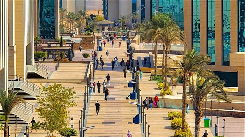 جامعة الجلالة، فيتو