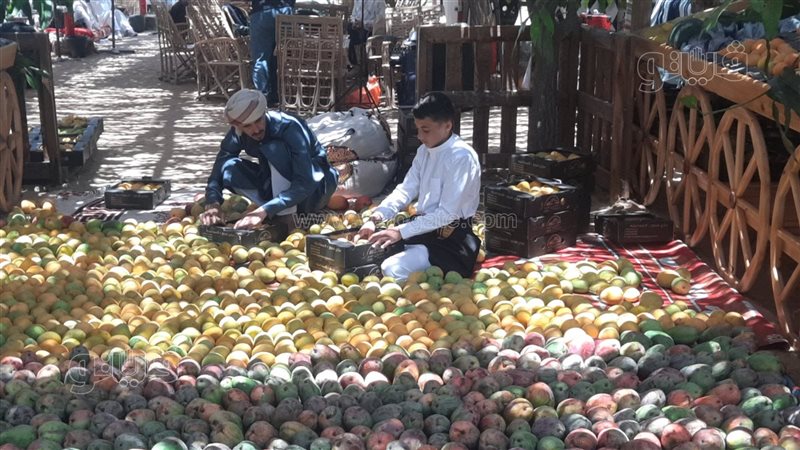مهرجان المانجو،فيتو