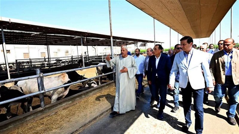 رئيس الوزراء ووزير