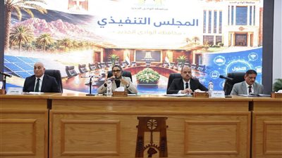 إلغاء رسوم التمور في الوادي الجديد.. المحافظ تصدر قرارات جديدة لدعم المزارعين