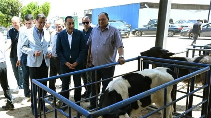 جولة رئيس مجلس الوزراء
