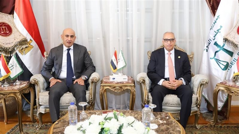 رئيس مجلس الدولة