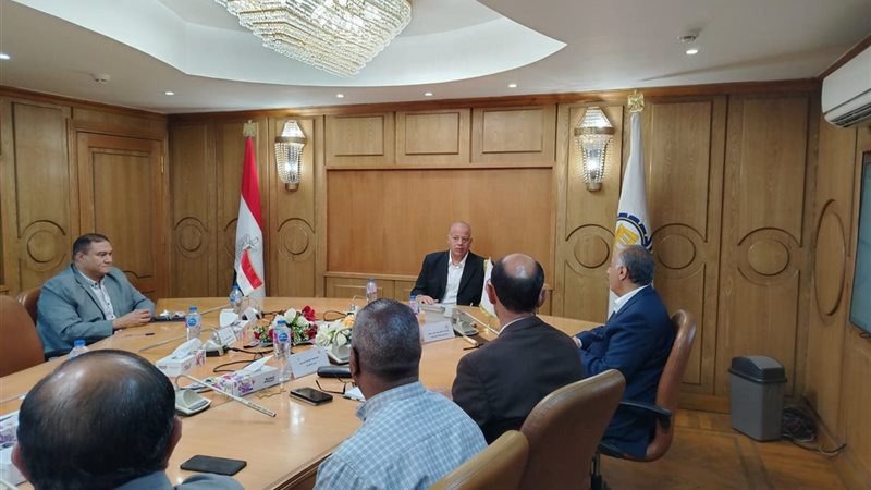 قنا،فيتو