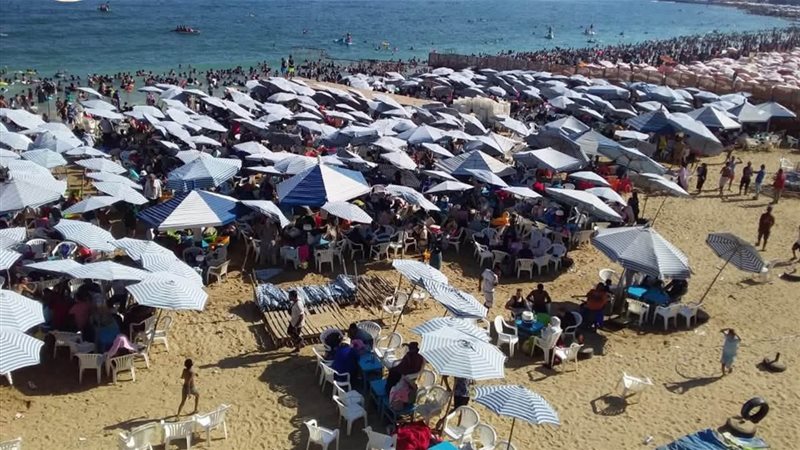 شواطئ الإسكندرية