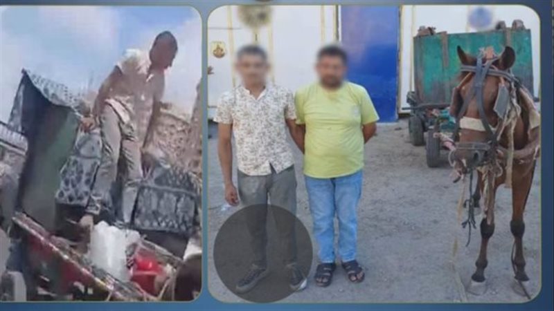 أخبار الحوادث اليوم