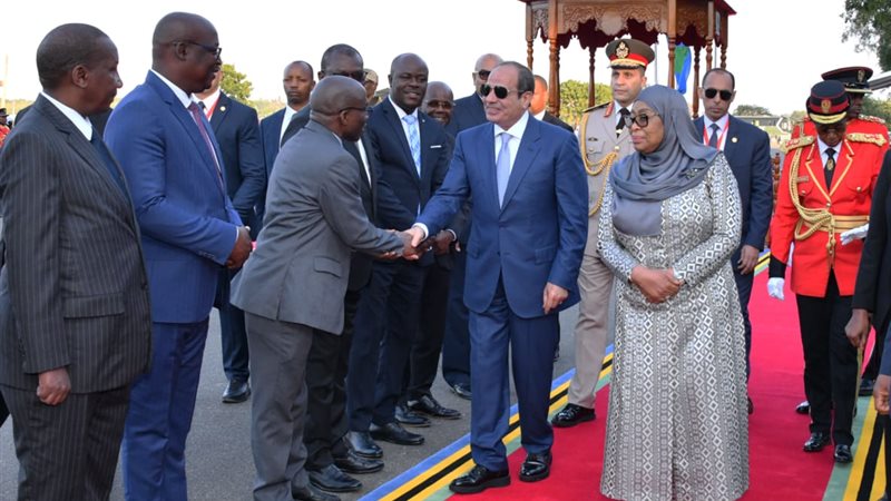 الرئيس السيسي في