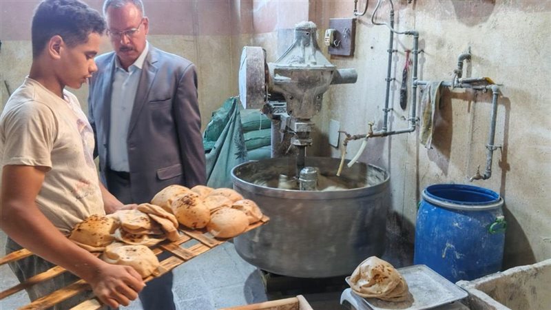 حملة تموينية بأسيوط،