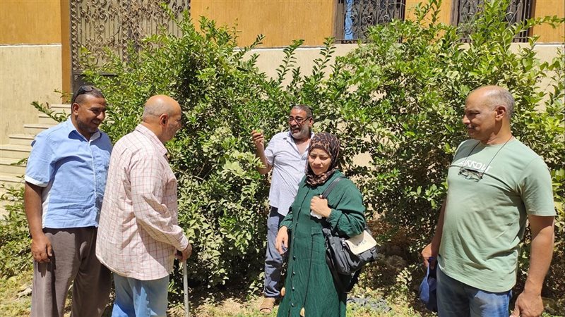 قنا،فيتو