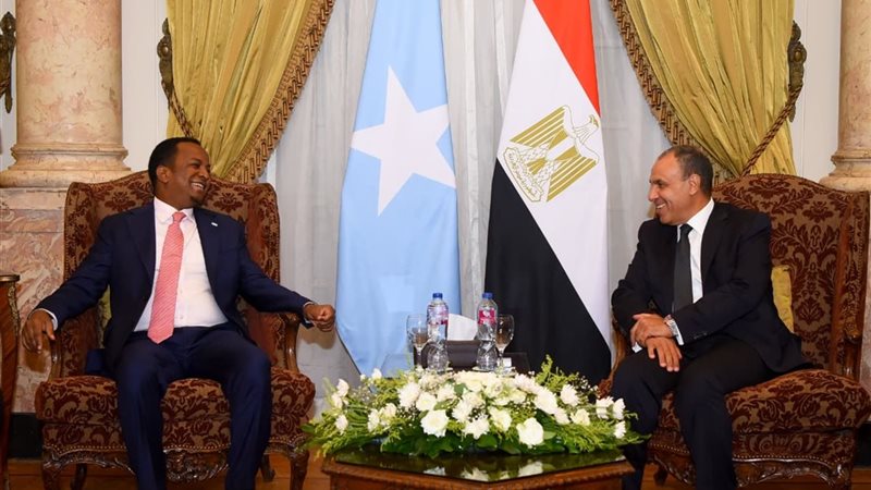 وزير الخارجية ونظيره